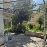 Αυλή σπιτιού με τσιμεντένιο δάπεδο και πυκνή βλάστηση