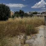 Ακαθάριστο οικόπεδο με ξερά χόρτα σε αστική περιοχή