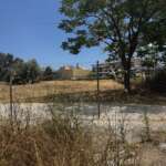 Ξερό οικόπεδο με συρμάτινη περίφραξη και δέντρο