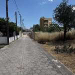 Ήσυχος πλακόστρωτος δρόμος σε προάστιο με δέντρο
