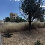 Ακαλλιέργητο οικόπεδο με ξερά χόρτα και δέντρο