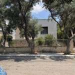 Μονοκατοικία πίσω από ελαιόδεντρα σε ήσυχο δρόμο