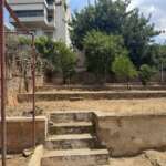 Μικρή αυλή με τσιμεντένια σκαλιά και δέντρα