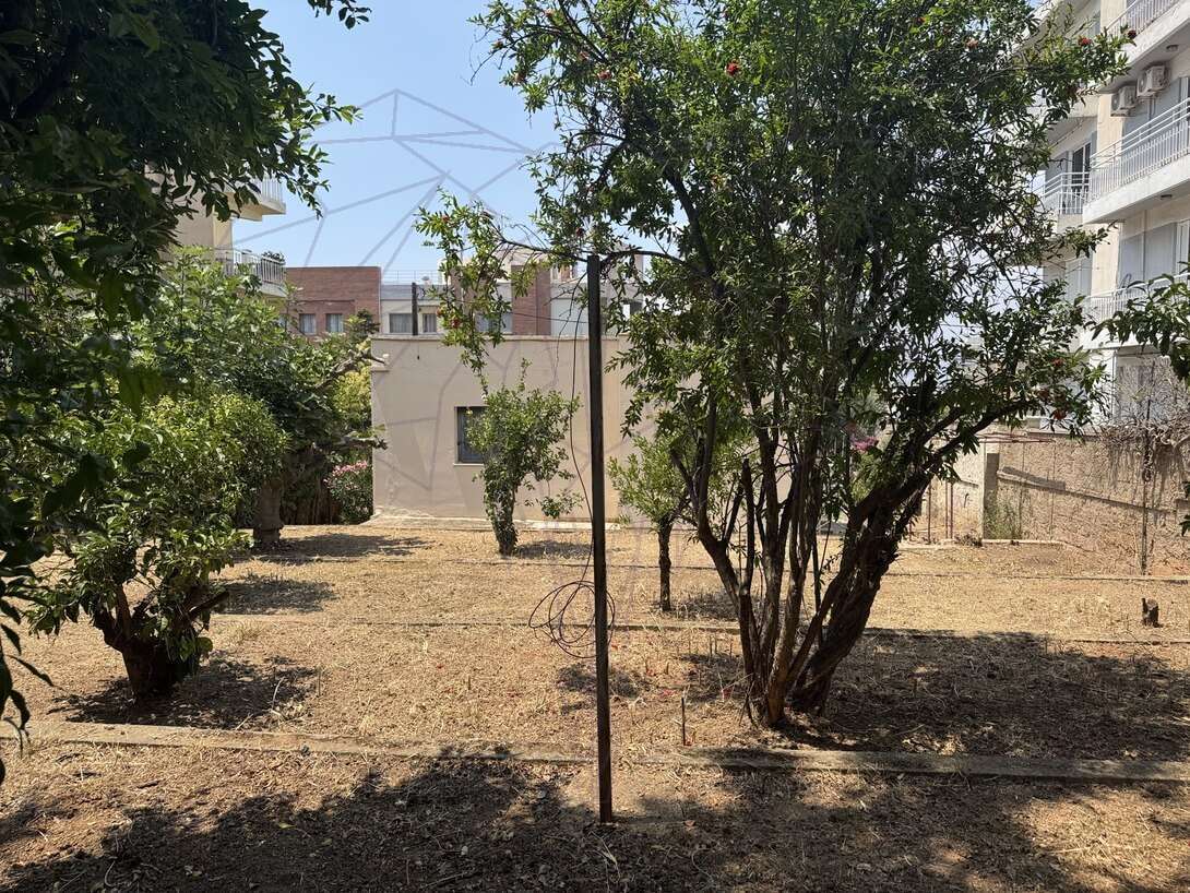 Ξηρός κήπος με δέντρα ανάμεσα σε πολυκατοικίες