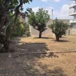 Ξηρή αυλή με δέντρα και πολυκατοικία