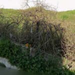 Πεζοδρόμιο με ξερά χόρτα και περίφραξη