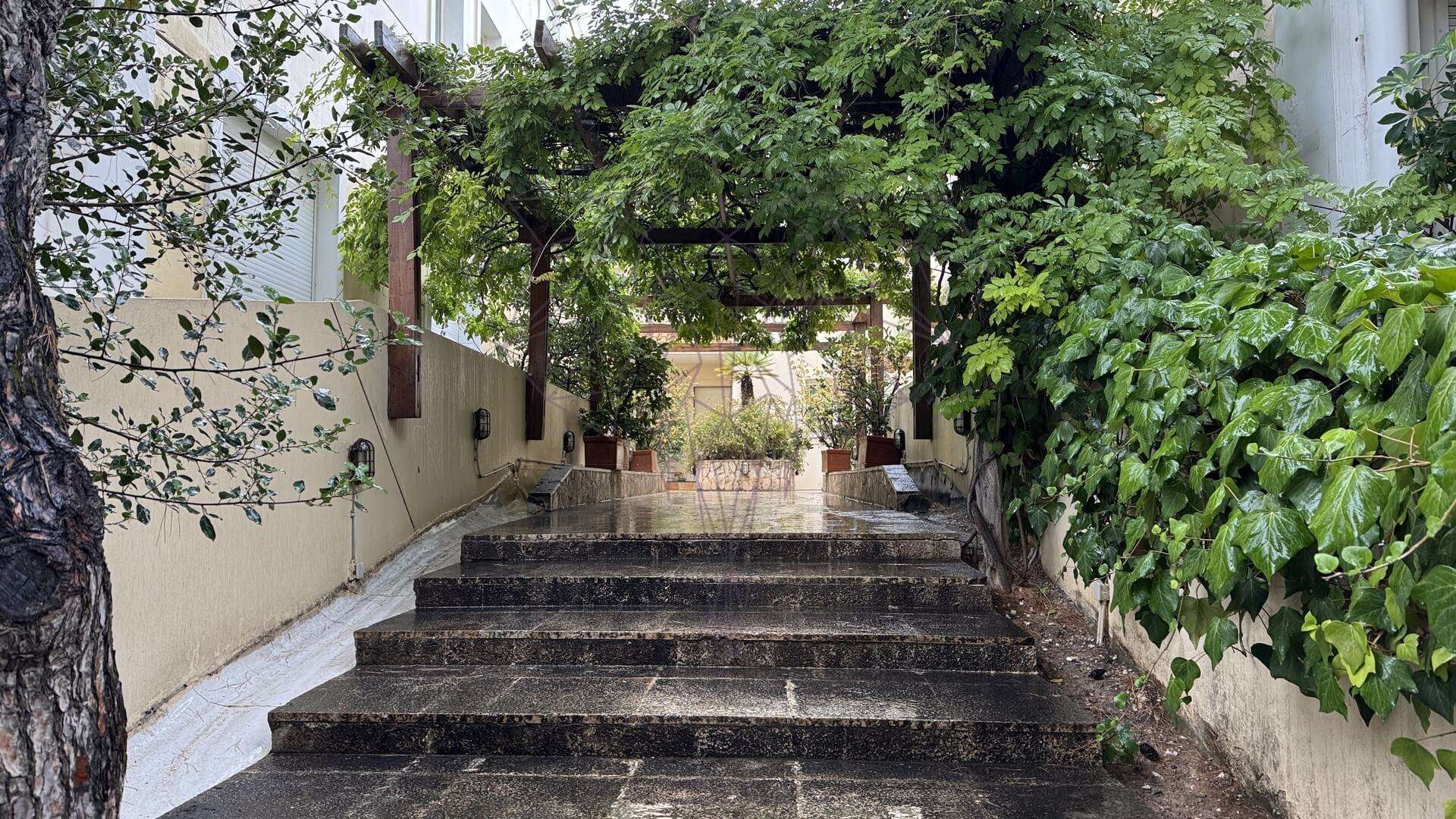 Πέτρινα σκαλιά κάτω από καταπράσινη πέργκολα