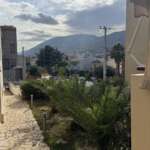 Αυλή κατοικίας με φοίνικες και θέα σε βουνό