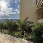 Αυλή πολυκατοικίας με φοίνικες και ορεινή θέα