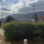 Κατοικίες και κήπος με θέα σε βουνά